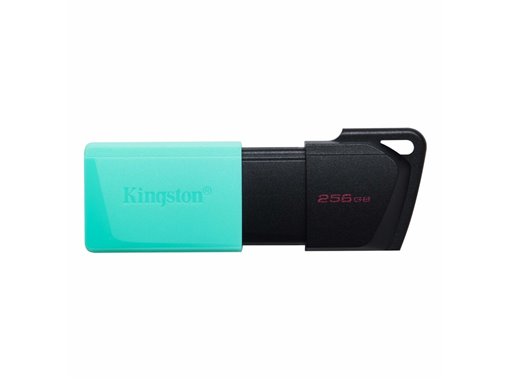 DTXM/256GB Clé USB Kingston DataTraveler 256GB USB3.2 Gen1 Exodia M (Noir + Turquoise)