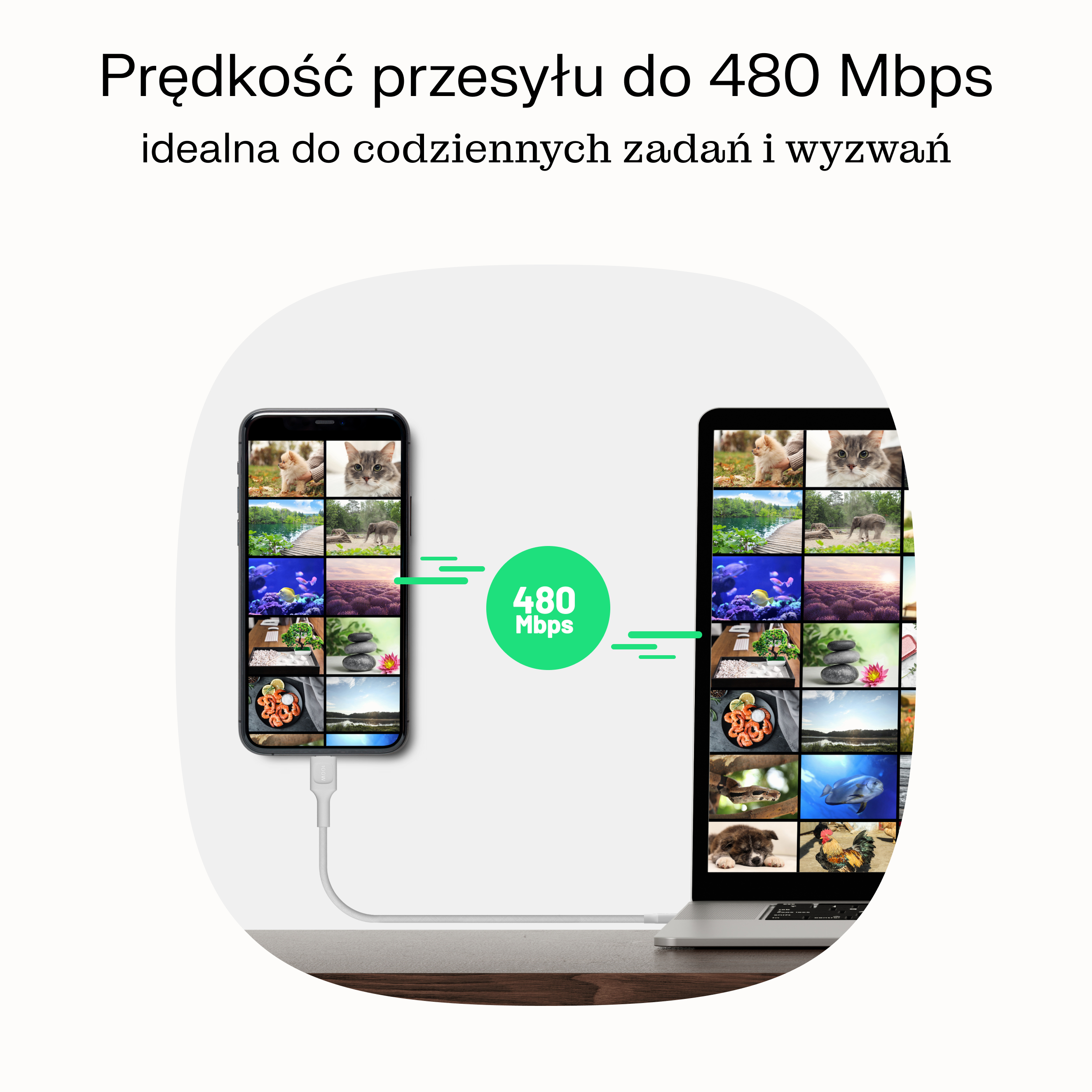 KABGC100PS120SW - USB-C Kabel 100W Greencell 1.2m | JVS Informática