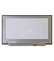 B173HAN04.B - 17.3" FHD IPS 30pin Slim Screen | JVS